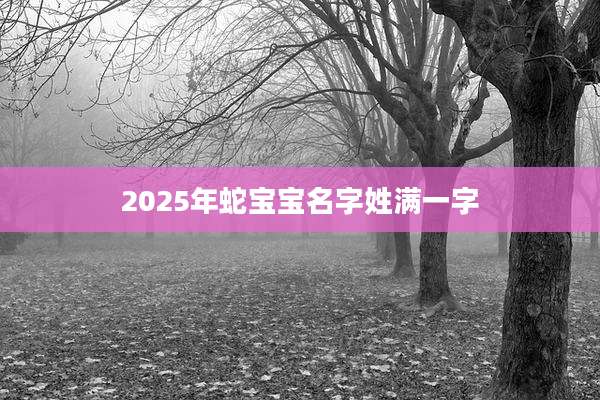 2025年蛇宝宝名字姓满一字