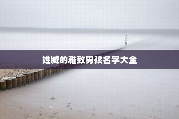 姓臧的雅致男孩名字大全