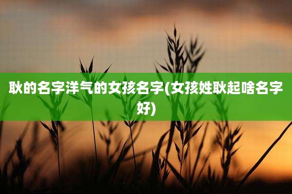 耿的名字洋气的女孩名字(女孩姓耿起啥名字好)