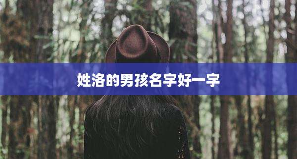 姓洛的男孩名字好一字