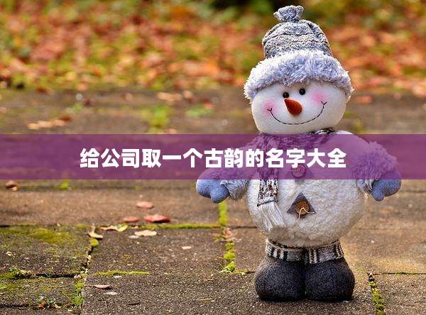 给公司取一个古韵的名字大全