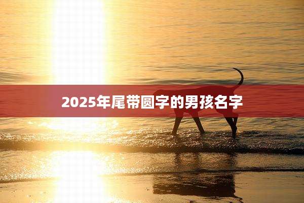 2025年尾带圆字的男孩名字