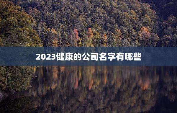 2023健康的公司名字有哪些