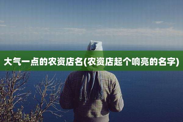 大气一点的农资店名(农资店起个响亮的名字)