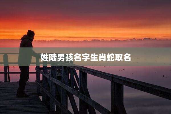 姓陆男孩名字生肖蛇取名