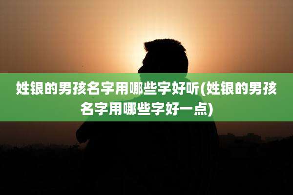 姓银的男孩名字用哪些字好听(姓银的男孩名字用哪些字好一点)