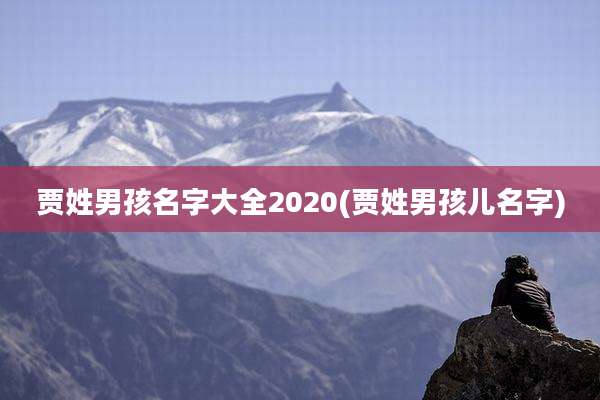 贾姓男孩名字大全2020(贾姓男孩儿名字)
