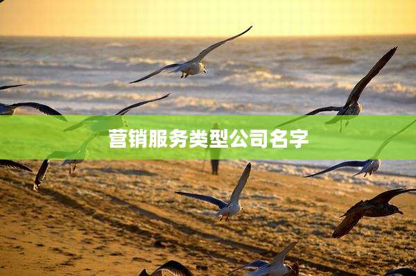 营销服务类型公司名字