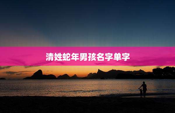 清姓蛇年男孩名字单字