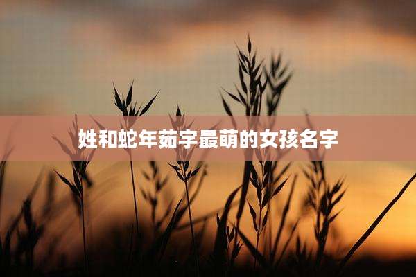 姓和蛇年茹字最萌的女孩名字