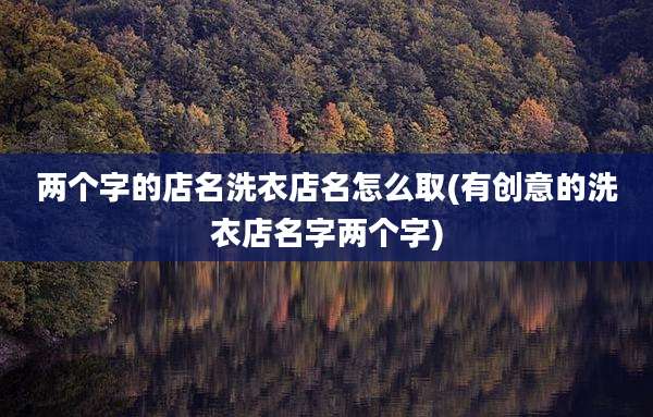 两个字的店名洗衣店名怎么取(有创意的洗衣店名字两个字)