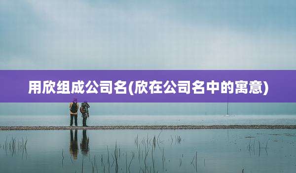 用欣组成公司名(欣在公司名中的寓意)