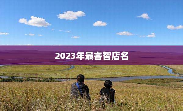 2023年最睿智店名