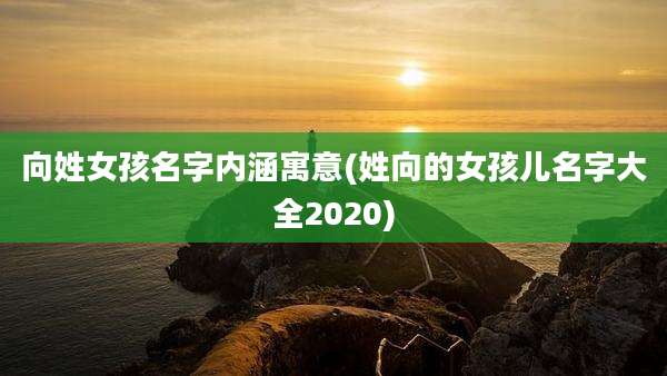 向姓女孩名字内涵寓意(姓向的女孩儿名字大全2020)