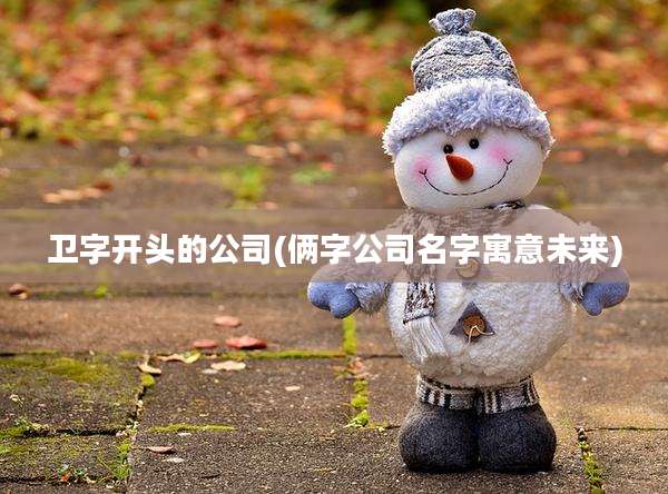 卫字开头的公司(俩字公司名字寓意未来)