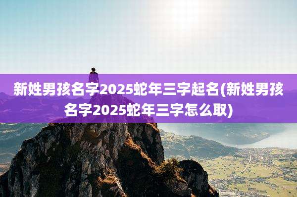 新姓男孩名字2025蛇年三字起名(新姓男孩名字2025蛇年三字怎么取)