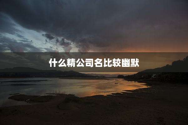 什么精公司名比较幽默
