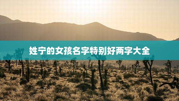 姓宁的女孩名字特别好两字大全