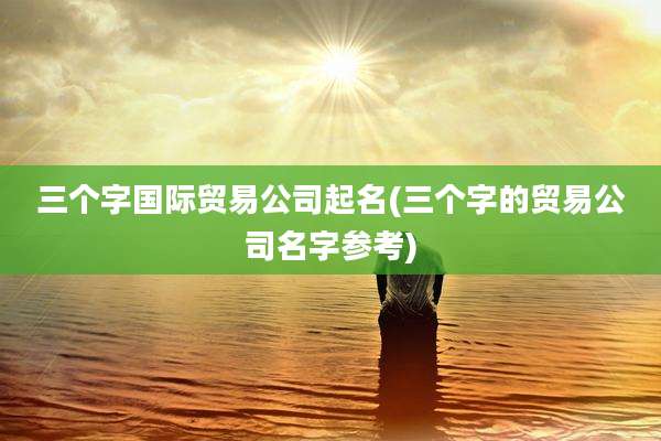 三个字国际贸易公司起名(三个字的贸易公司名字参考)