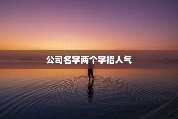 公司名字两个字招人气