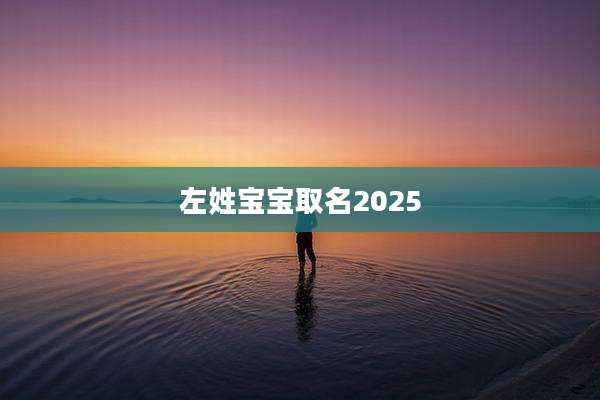 左姓宝宝取名2025