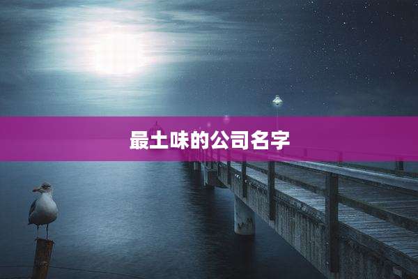 最土味的公司名字