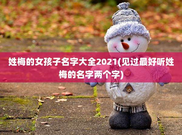 姓梅的女孩子名字大全2021(见过最好听姓梅的名字两个字)