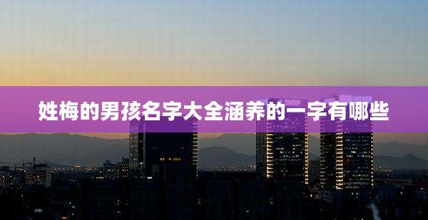 姓梅的男孩名字大全涵养的一字有哪些