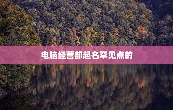电脑经营部起名罕见点的