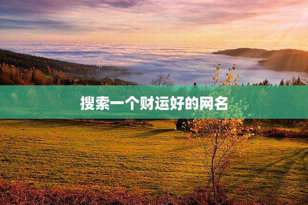 搜索一个财运好的网名