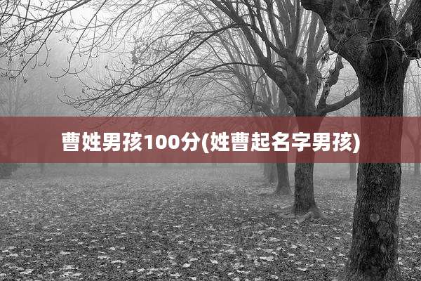 曹姓男孩100分(姓曹起名字男孩)