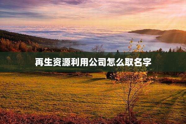 再生资源利用公司怎么取名字