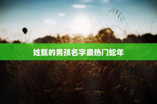 姓甄的男孩名字最热门蛇年