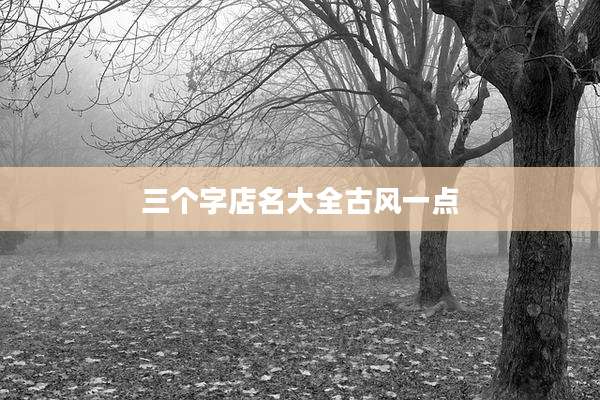 三个字店名大全古风一点