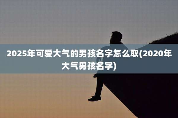 2025年可爱大气的男孩名字怎么取(2020年大气男孩名字)