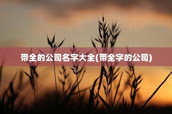 带全的公司名字大全(带全字的公司)