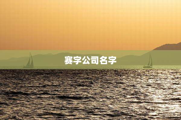 赛字公司名字