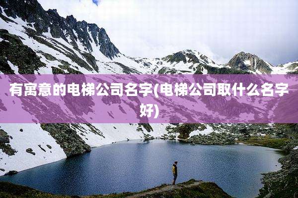 有寓意的电梯公司名字(电梯公司取什么名字好)