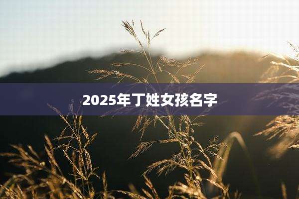 2025年丁姓女孩名字