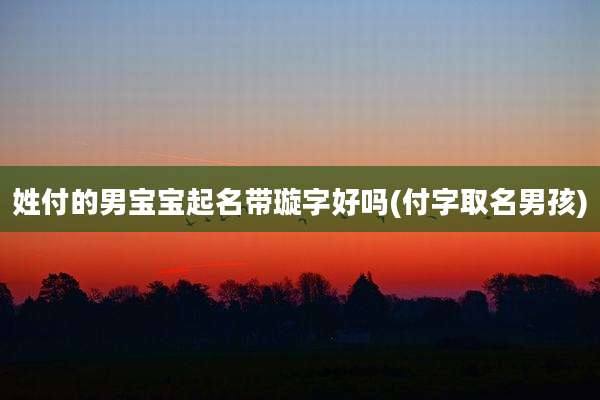 姓付的男宝宝起名带璇字好吗(付字取名男孩)