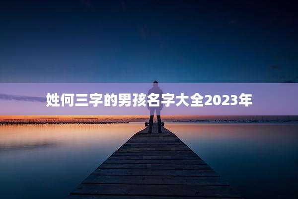 姓何三字的男孩名字大全2023年