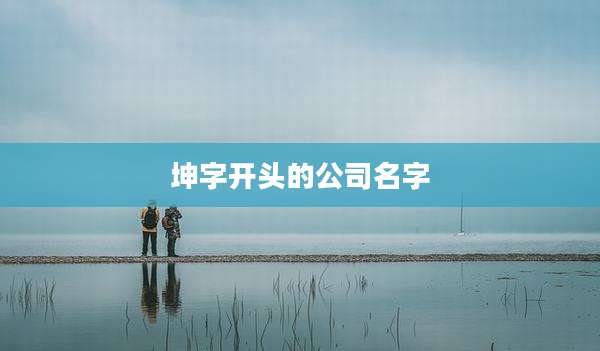 坤字开头的公司名字