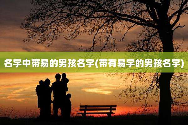 名字中带易的男孩名字(带有易字的男孩名字)