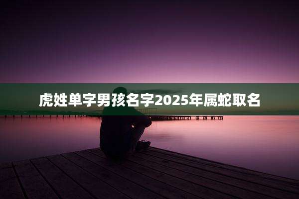 虎姓单字男孩名字2025年属蛇取名
