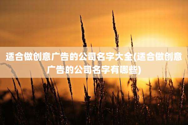 适合做创意广告的公司名字大全(适合做创意广告的公司名字有哪些)