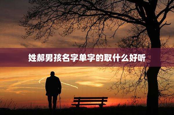 姓郝男孩名字单字的取什么好听