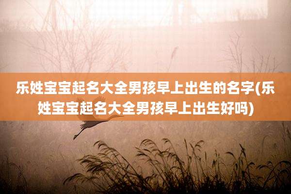 乐姓宝宝起名大全男孩早上出生的名字(乐姓宝宝起名大全男孩早上出生好吗)