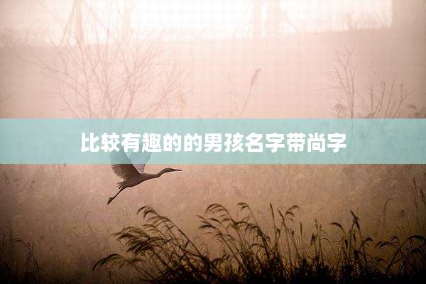 比较有趣的的男孩名字带尚字