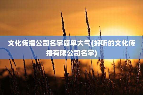 文化传播公司名字简单大气(好听的文化传播有限公司名字)