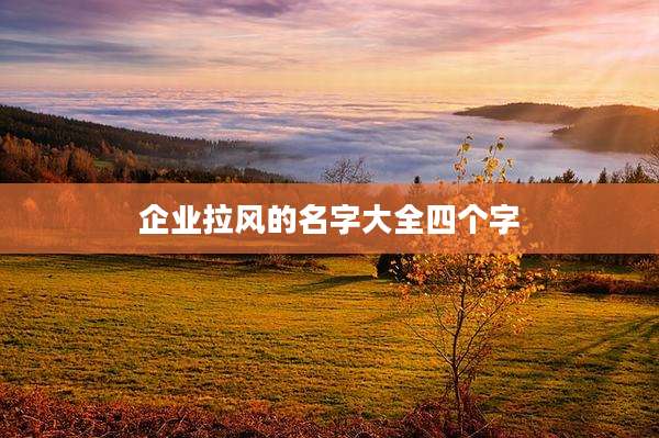 企业拉风的名字大全四个字